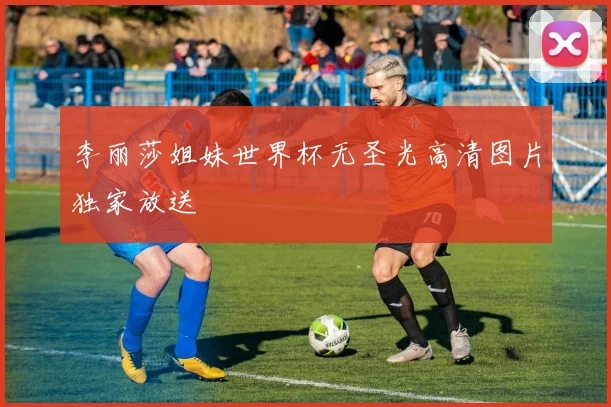 李丽莎姐妹世界杯无圣光高清图片独家放送