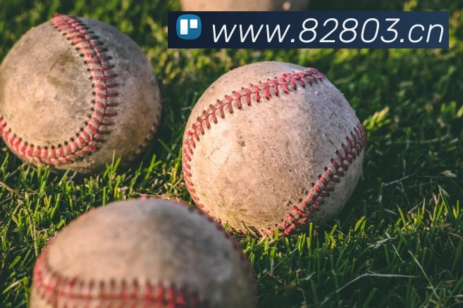 mk体育官方网发展历程